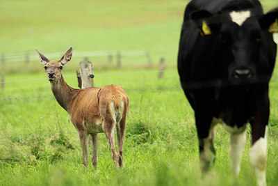 BUITEN BEELD Foto: 135331