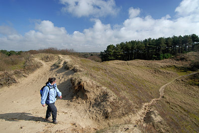 BUITEN BEELD Foto: 135376