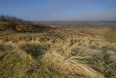 BUITEN BEELD Foto: 135378