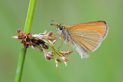 BUITEN BEELD Foto: 135394