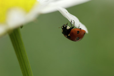 BUITEN BEELD Foto: 135398