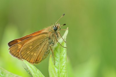 BUITEN BEELD Foto: 135429