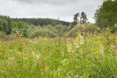 BUITEN BEELD Foto: 135442