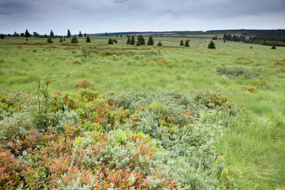 BUITEN BEELD Foto: 135445