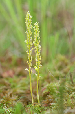 BUITEN BEELD Foto: 135446