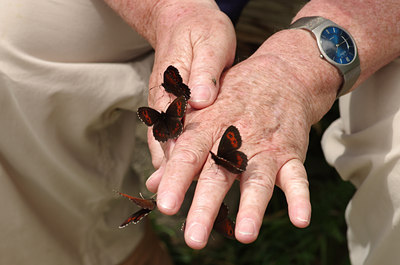 BUITEN BEELD Foto: 135460