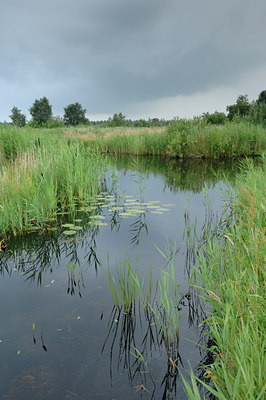 BUITEN BEELD Foto: 135462
