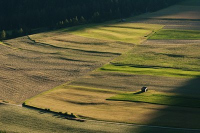 BUITEN BEELD Foto: 135463