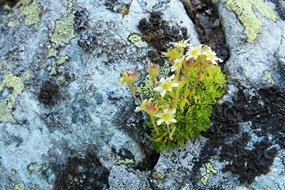 BUITEN BEELD Foto: 135477