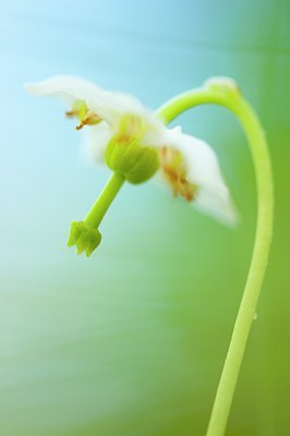 BUITEN BEELD Foto: 135480