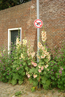 BUITEN BEELD Foto: 135494