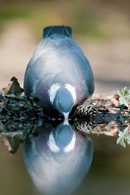 BUITEN BEELD Foto: 135499