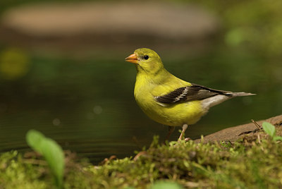 BUITEN BEELD Foto: 135739