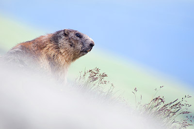 BUITEN BEELD Foto: 135856