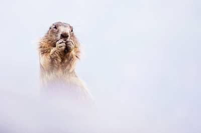 BUITEN BEELD Foto: 135882