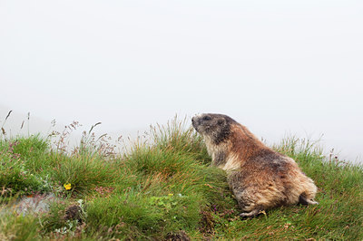 BUITEN BEELD Foto: 135891