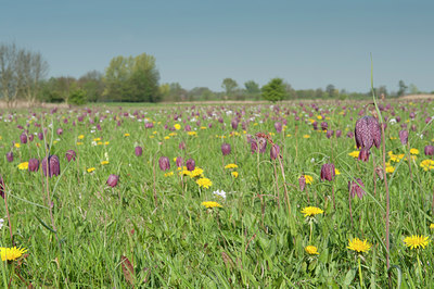 BUITEN BEELD Foto: 136153