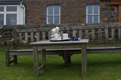 BUITEN BEELD Foto: 136154