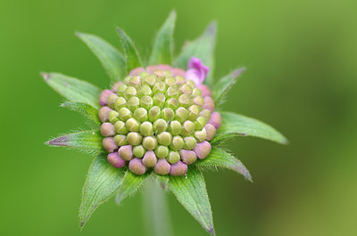 BUITEN BEELD Foto: 136173