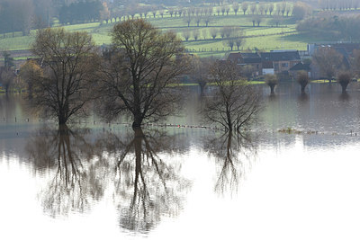 BUITEN BEELD Foto: 136197