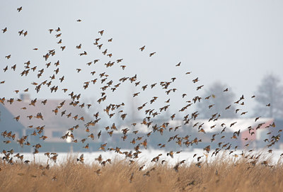 BUITEN BEELD Foto: 136230