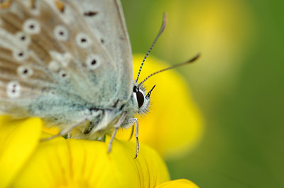 BUITEN BEELD Foto: 136244