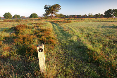 BUITEN BEELD Foto: 136301