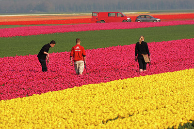 BUITEN BEELD Foto: 136311