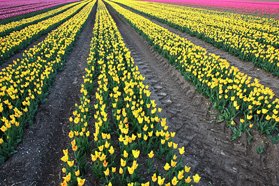 BUITEN BEELD Foto: 136322