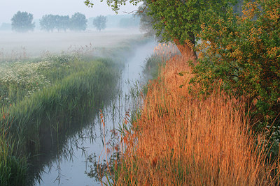 BUITEN BEELD Foto: 136330