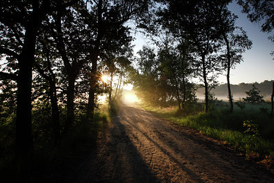 BUITEN BEELD Foto: 136333