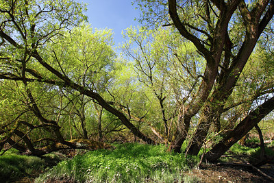 BUITEN BEELD Foto: 136342