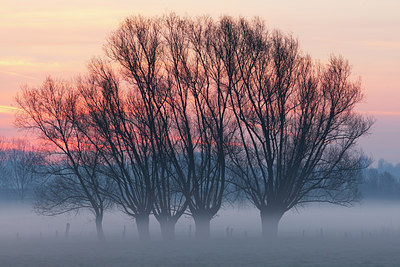 BUITEN BEELD Foto: 136345