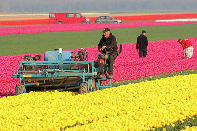 BUITEN BEELD Foto: 136358