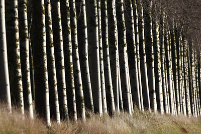 BUITEN BEELD Foto: 136365