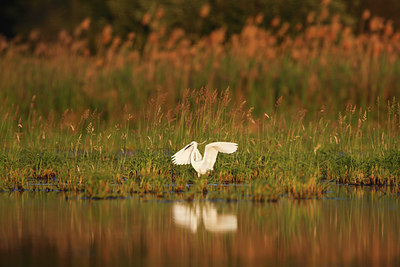 BUITEN BEELD Foto: 136368