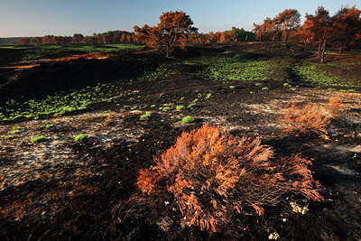 BUITEN BEELD Foto: 136379