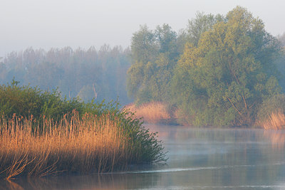 BUITEN BEELD Foto: 136386