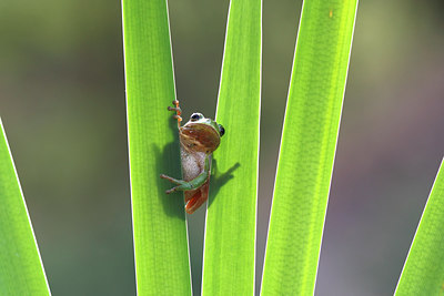 BUITEN BEELD Foto: 136391