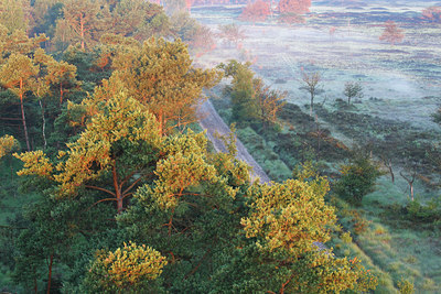 BUITEN BEELD Foto: 136426