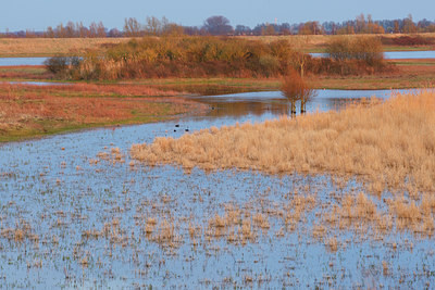 BUITEN BEELD Foto: 136442