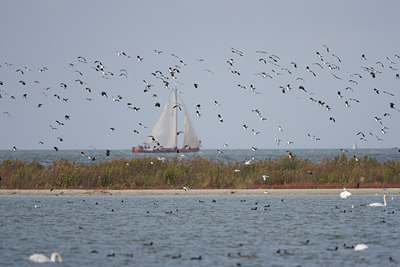 BUITEN BEELD Foto: 136554
