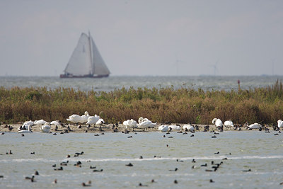 BUITEN BEELD Foto: 136555