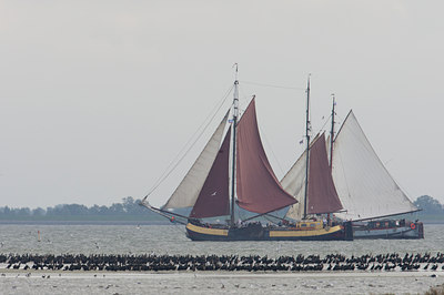 BUITEN BEELD Foto: 136557