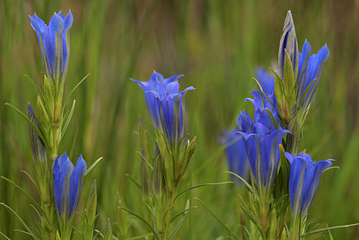 BUITEN BEELD Foto: 136562