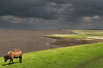 BUITEN BEELD Foto: 136580