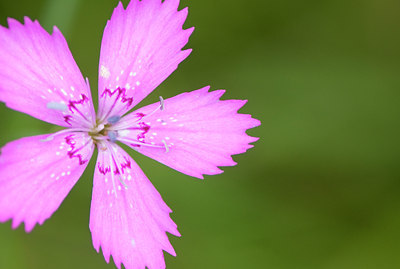 BUITEN BEELD Foto: 136658