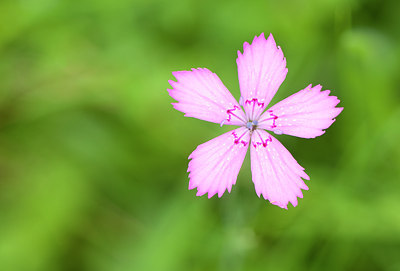 BUITEN BEELD Foto: 136659