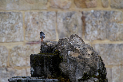 BUITEN BEELD Foto: 136673