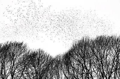BUITEN BEELD Foto: 136701